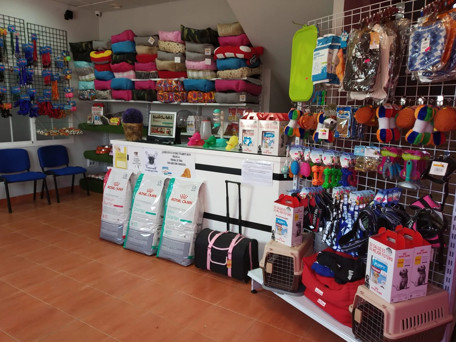 Tienda Cachorro estanterias y mostrador de local